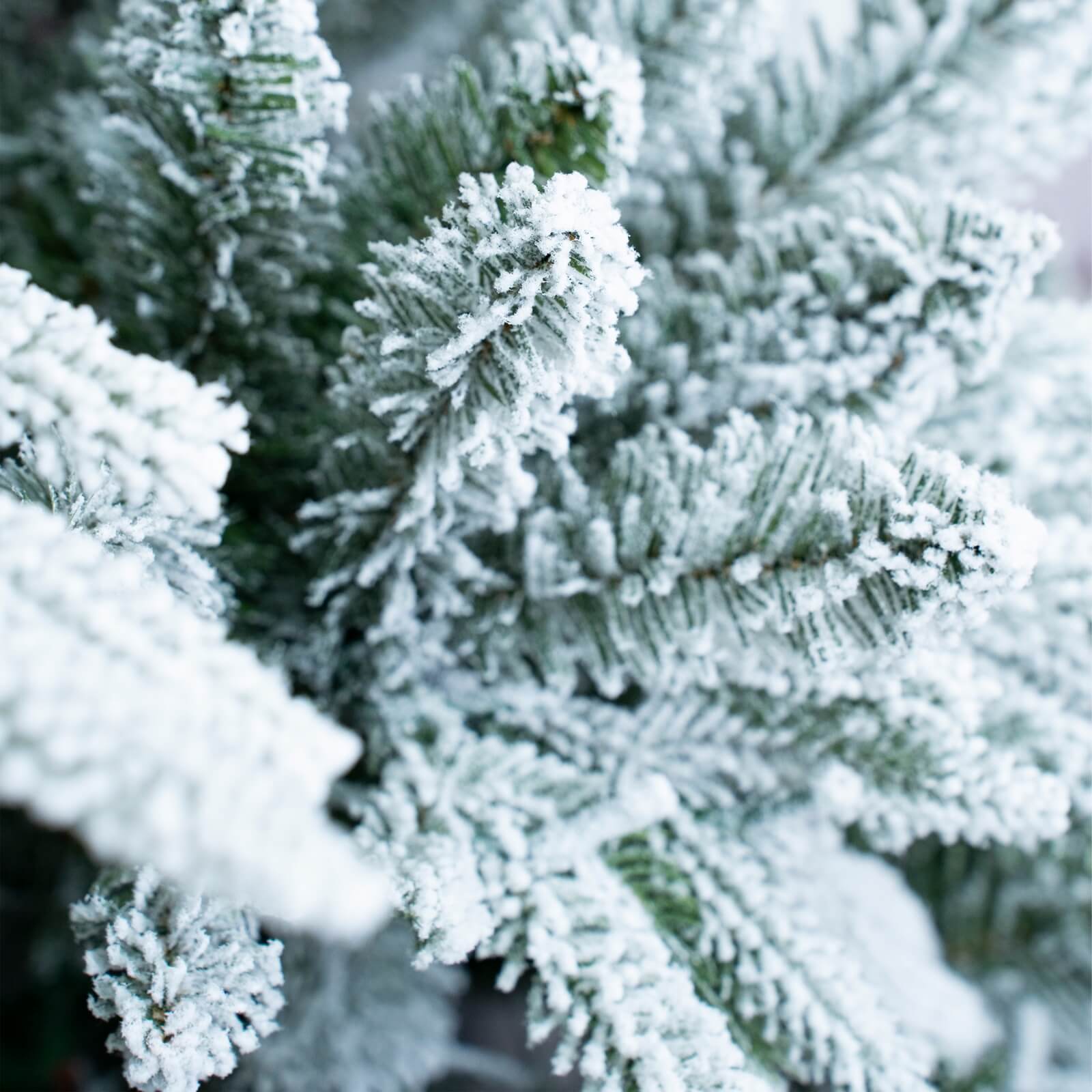 6FT Realistic Snow-Flocked Christmas Tree(PJT-2506-6FT) - Abrihome