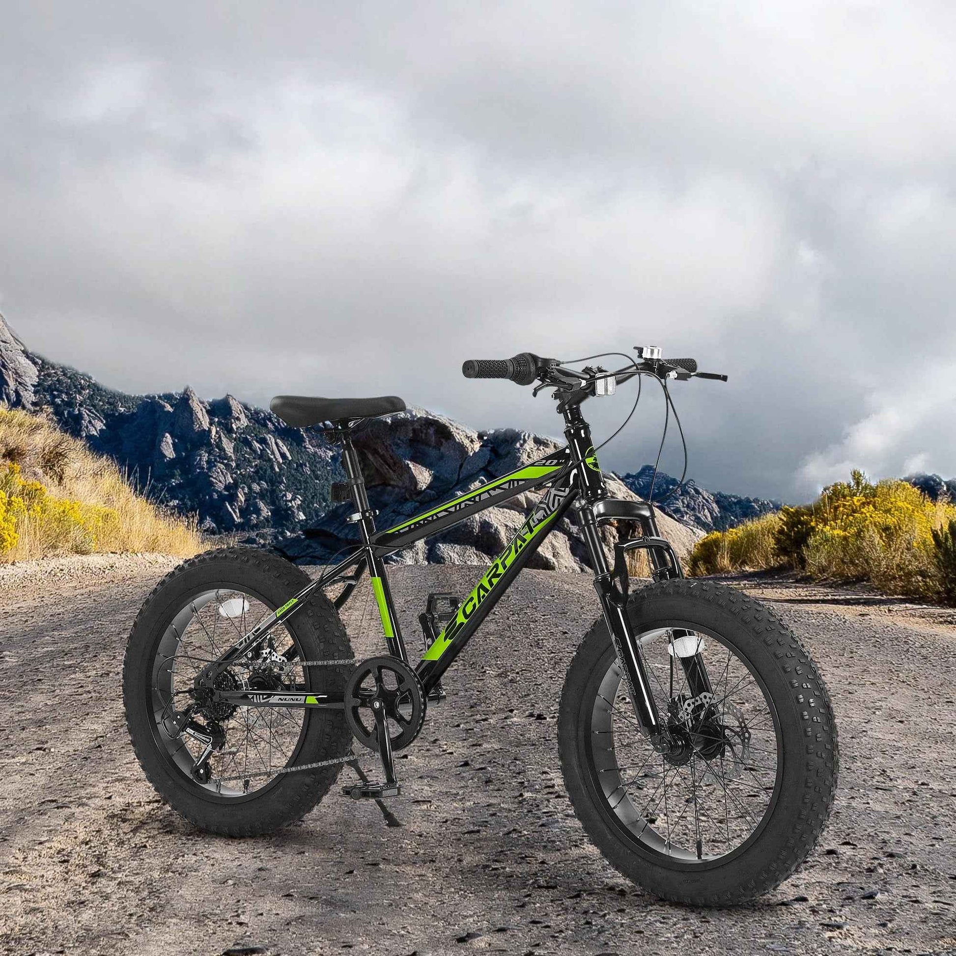 S20109 20 Inch Mountain Bike for Kids and Teenagers, High Carbon Steel Frame, Disc Brakes, Durable Wide Tires, Front Suspension, 7-Speed, Ideal for Snow and Off-Road Riding