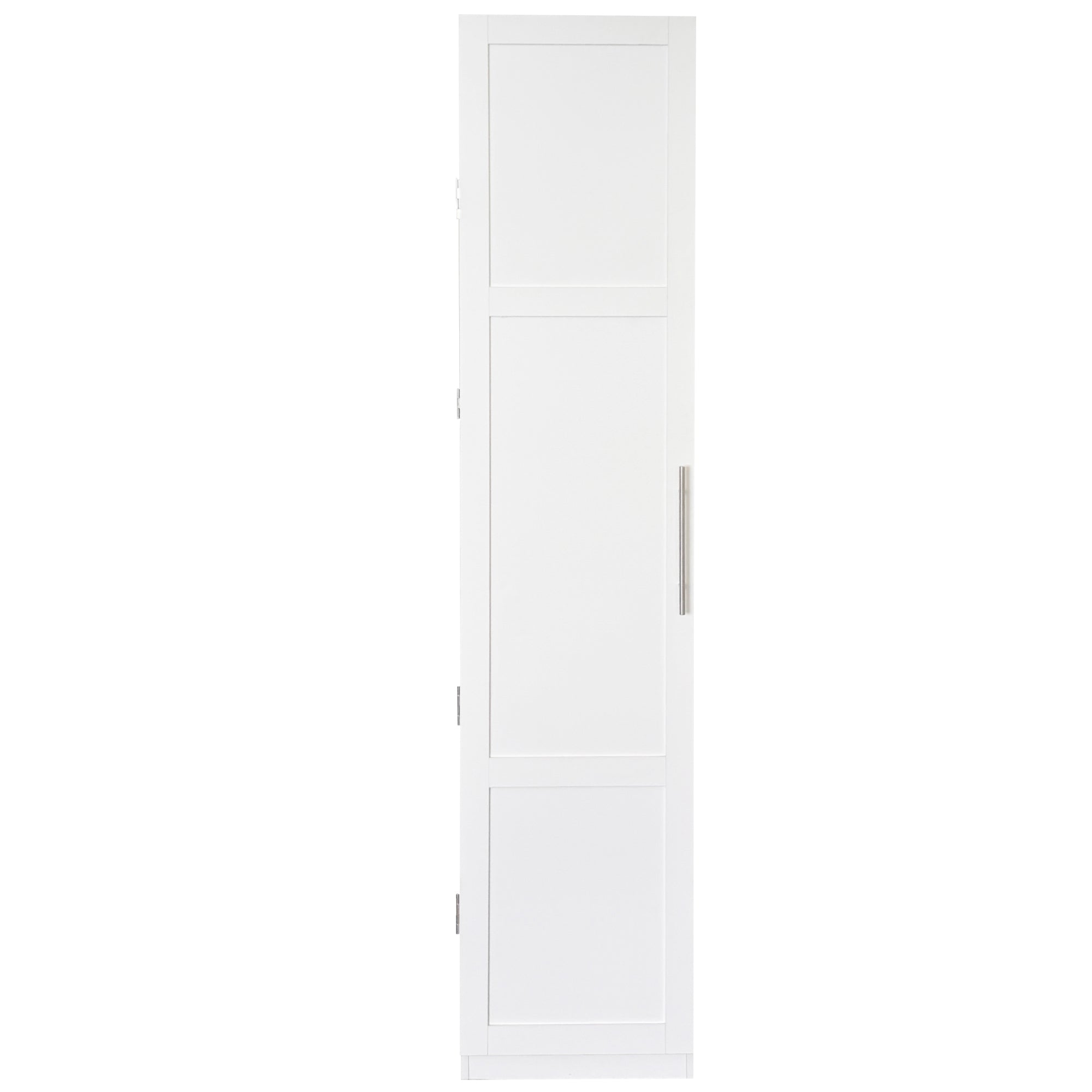 25190733