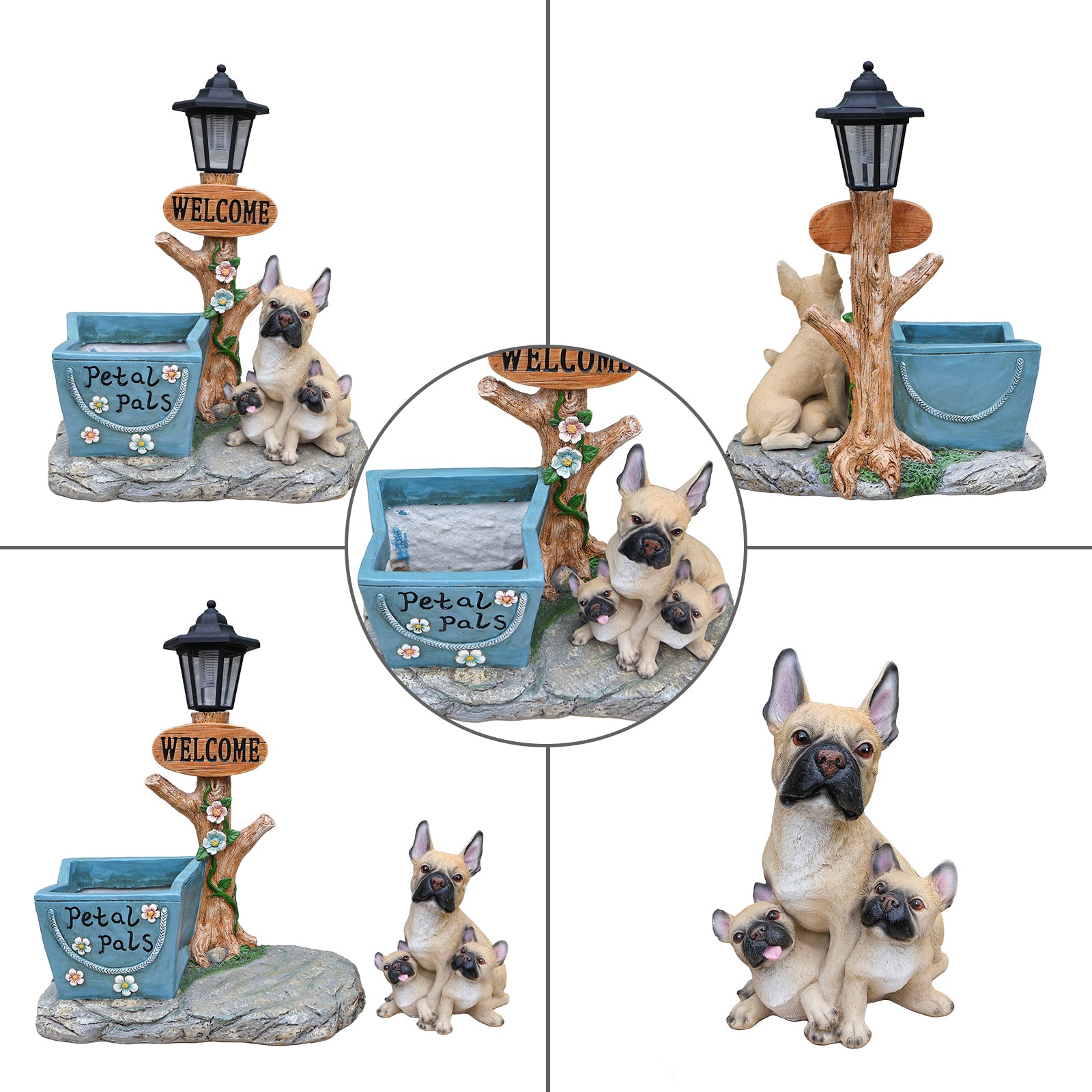 25224337