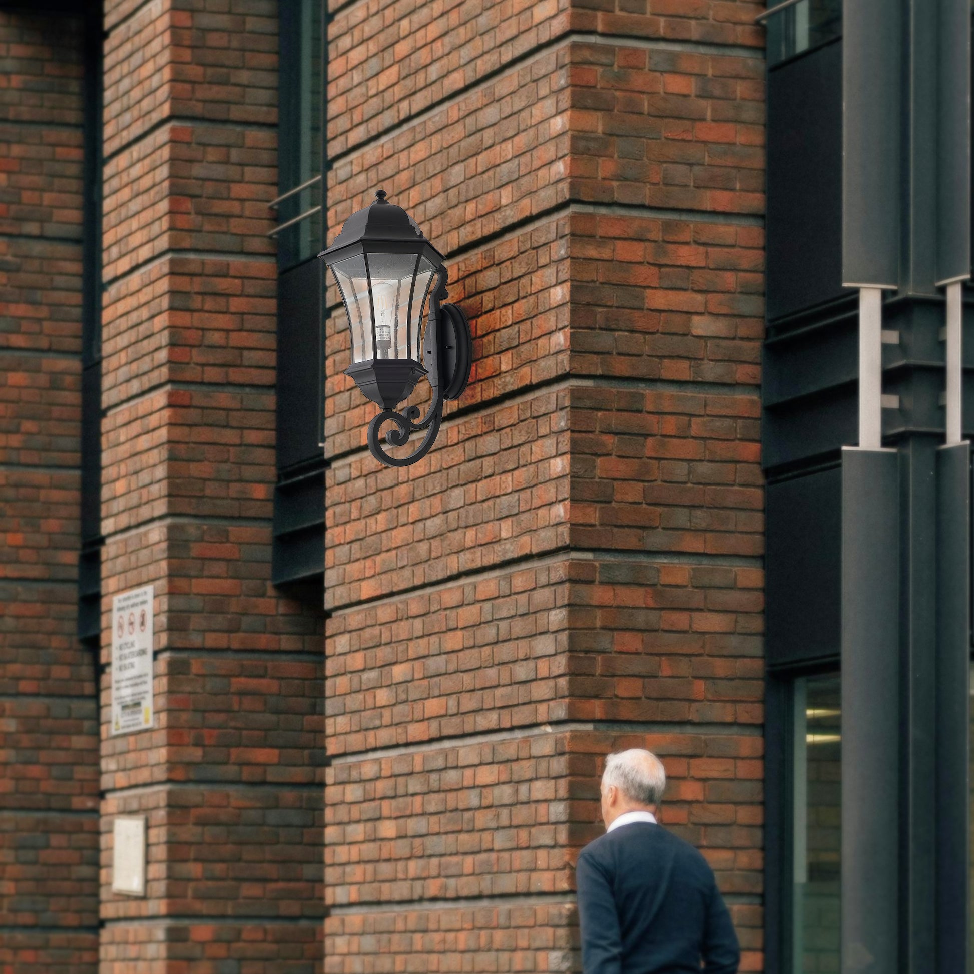 25223929